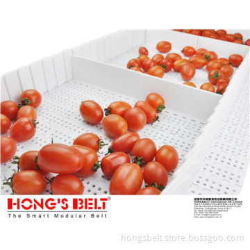 The Food Grade Modular Belt (HS-200B)